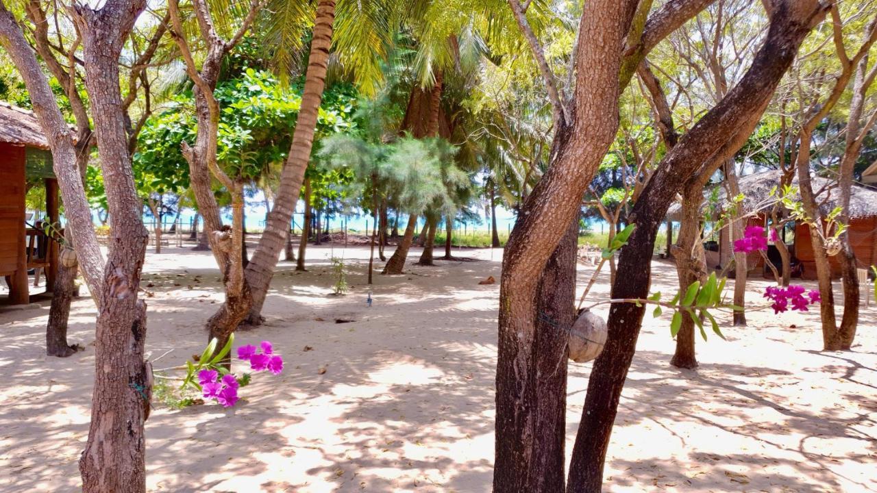 Cocoville Passikudah Ngoại thất bức ảnh