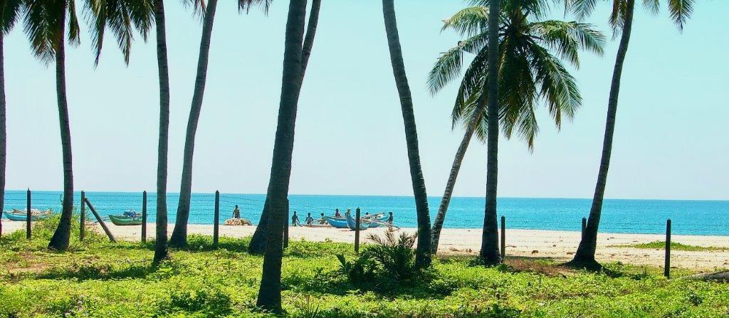Cocoville Passikudah Ngoại thất bức ảnh